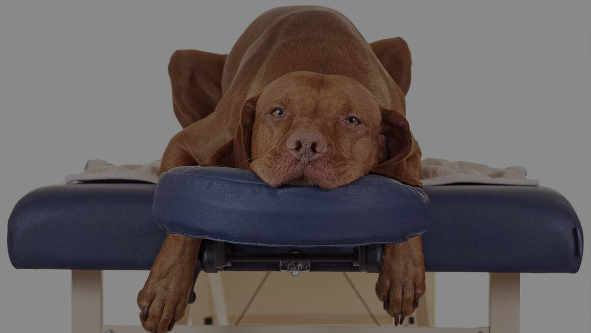 Massage Therapy Bangor Co Down