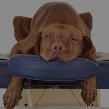 Massage Therapy Bangor Co Down